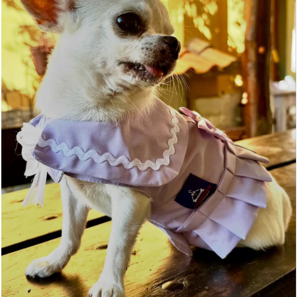 Vestito pettorina per cane stile marinaio | DIXY'S DixyStore