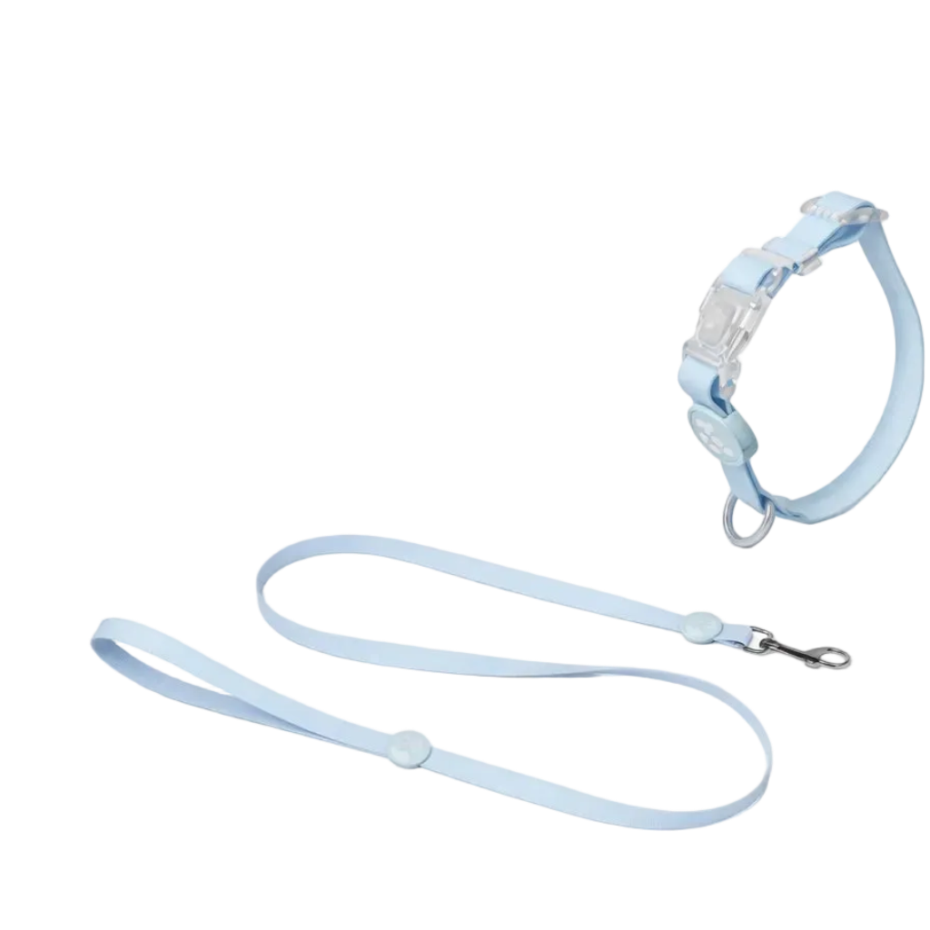 Set Collare e Guinzaglio in Biothane® per Cane DixyStore