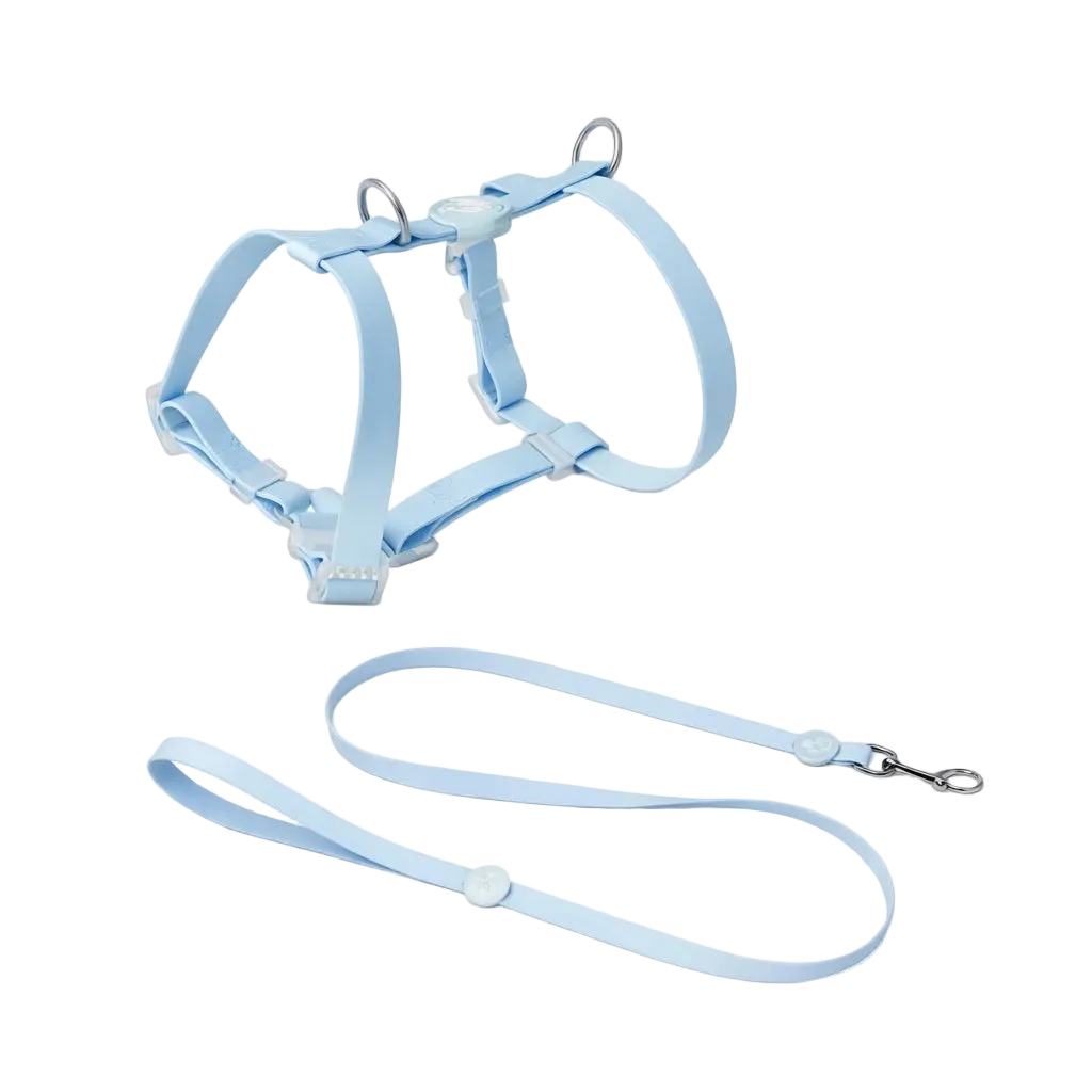 Set Pettorina ad H e Guinzaglio in Biothane® per Cane | DIXY'S DixyStore