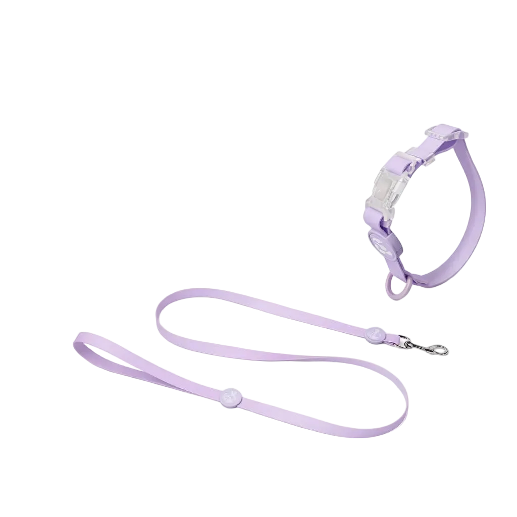 Set Collare e Guinzaglio in Biothane® per Cane DixyStore