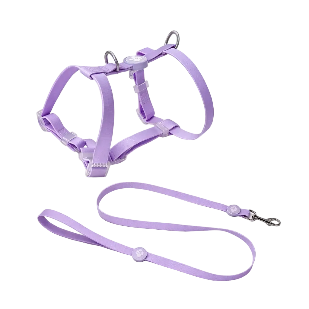 Set Pettorina ad H e Guinzaglio in Biothane® per Cane | DIXY'S DixyStore