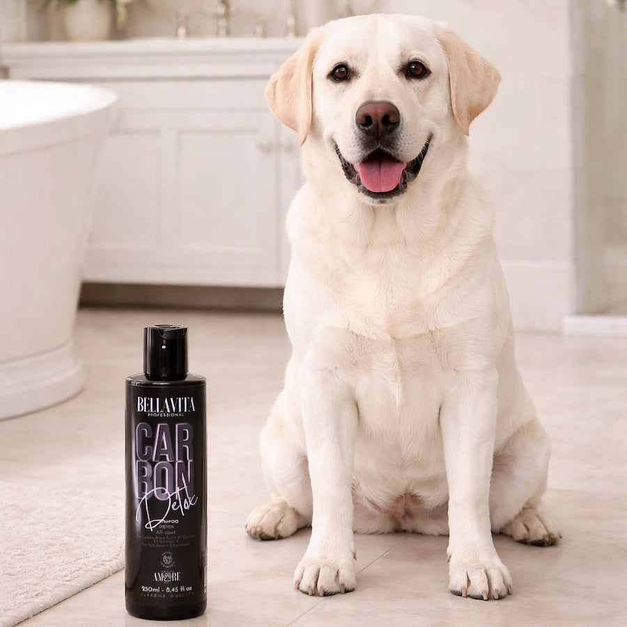 Shampoo CarbonDetox per Cane – Pulizia Profonda e Lucentezza Naturale | DIXY'S DixyStore
