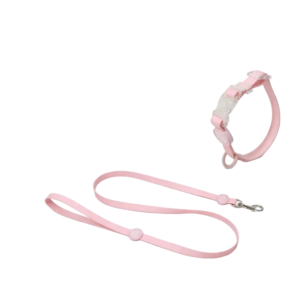 Set Collare e Guinzaglio in Biothane® per Cane DixyStore