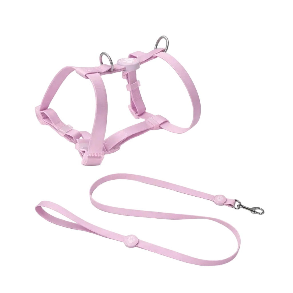 Set Pettorina ad H e Guinzaglio in Biothane® per Cane | DIXY'S DixyStore