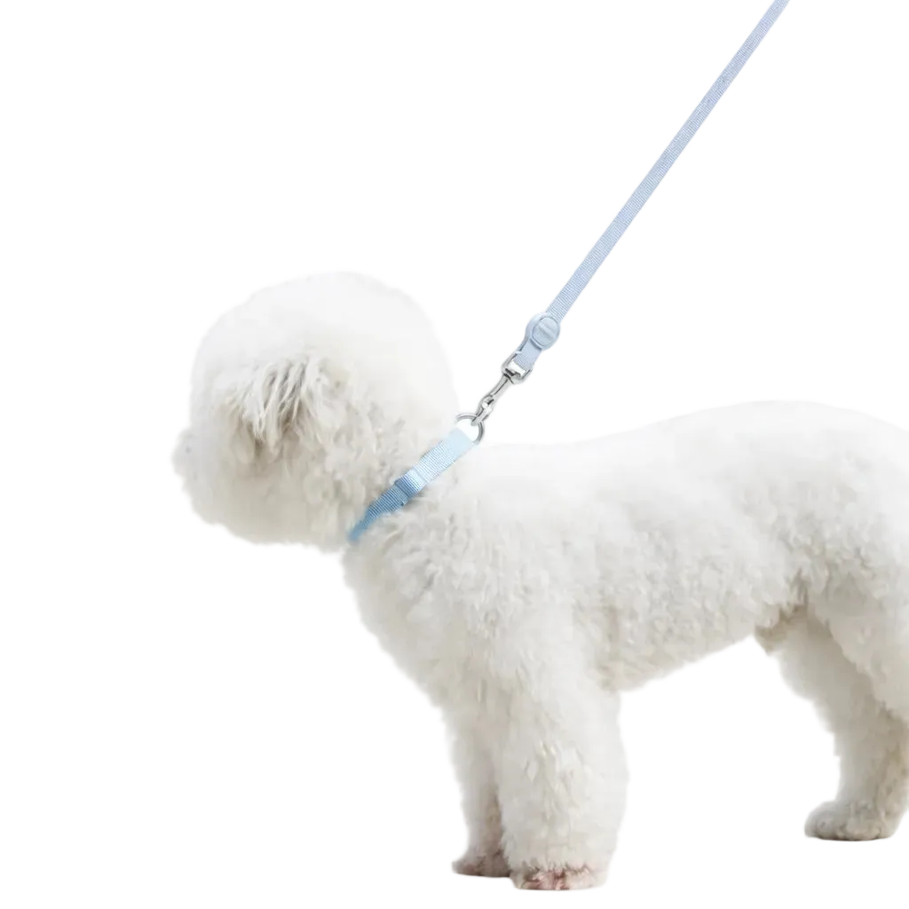 Set Collare e Guinzaglio in Biothane® per Cane DixyStore
