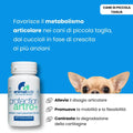 ProtectionArtro+ 600mg — Condroprotettore per Cani di Piccola Taglia | DIXY'S DixyStore