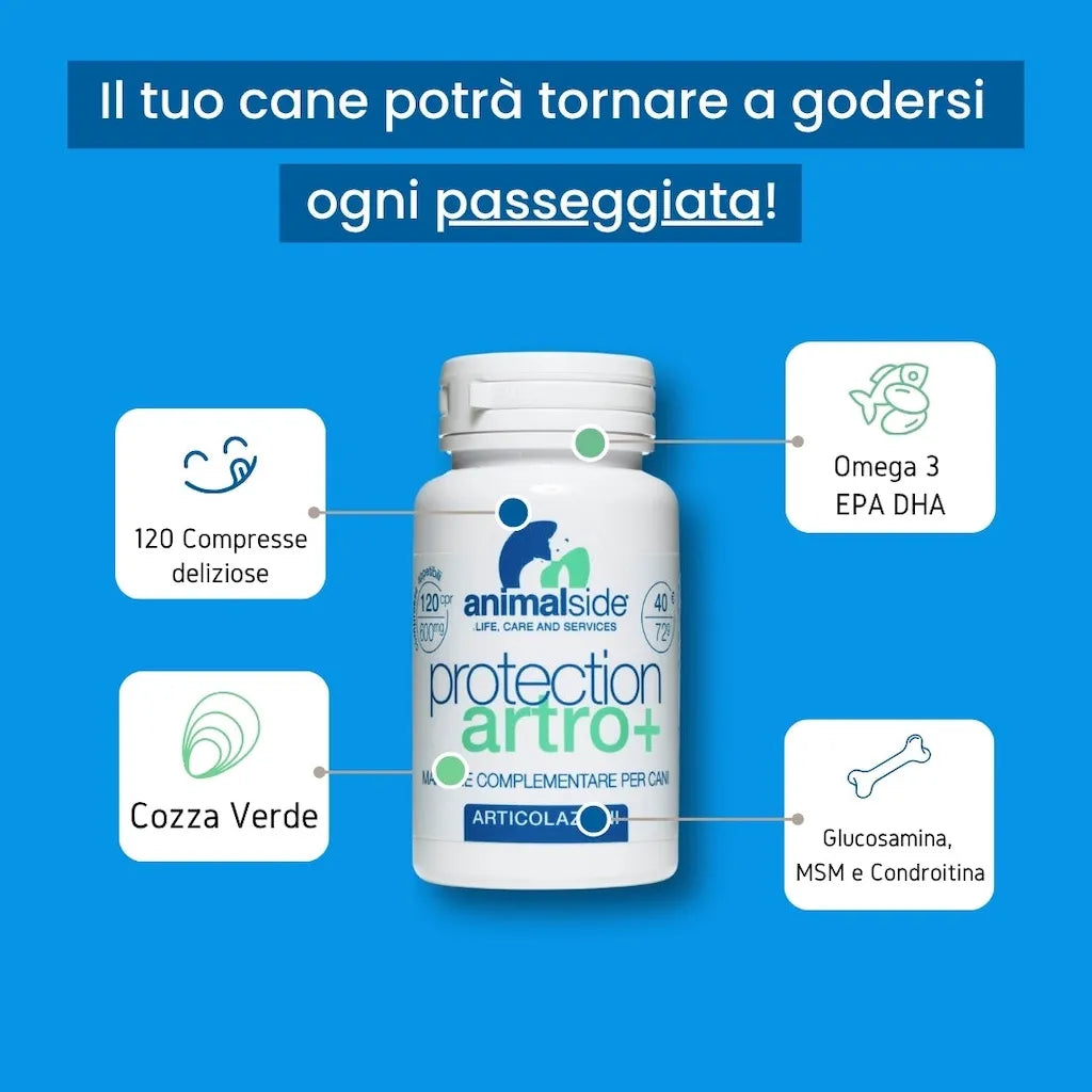 ProtectionArtro+ 600mg — Condroprotettore per Cani di Piccola Taglia | DIXY'S DixyStore