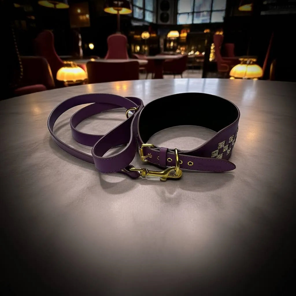 Set Collare e Guinzaglio Camilla in Pelle Italiana per Levrieri | Dventotto® DixyStore