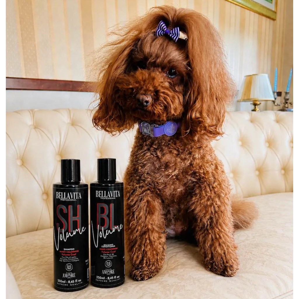 Complete routine for curly coats, designed to help keep the coat soft, voluminous and well-defined over time.