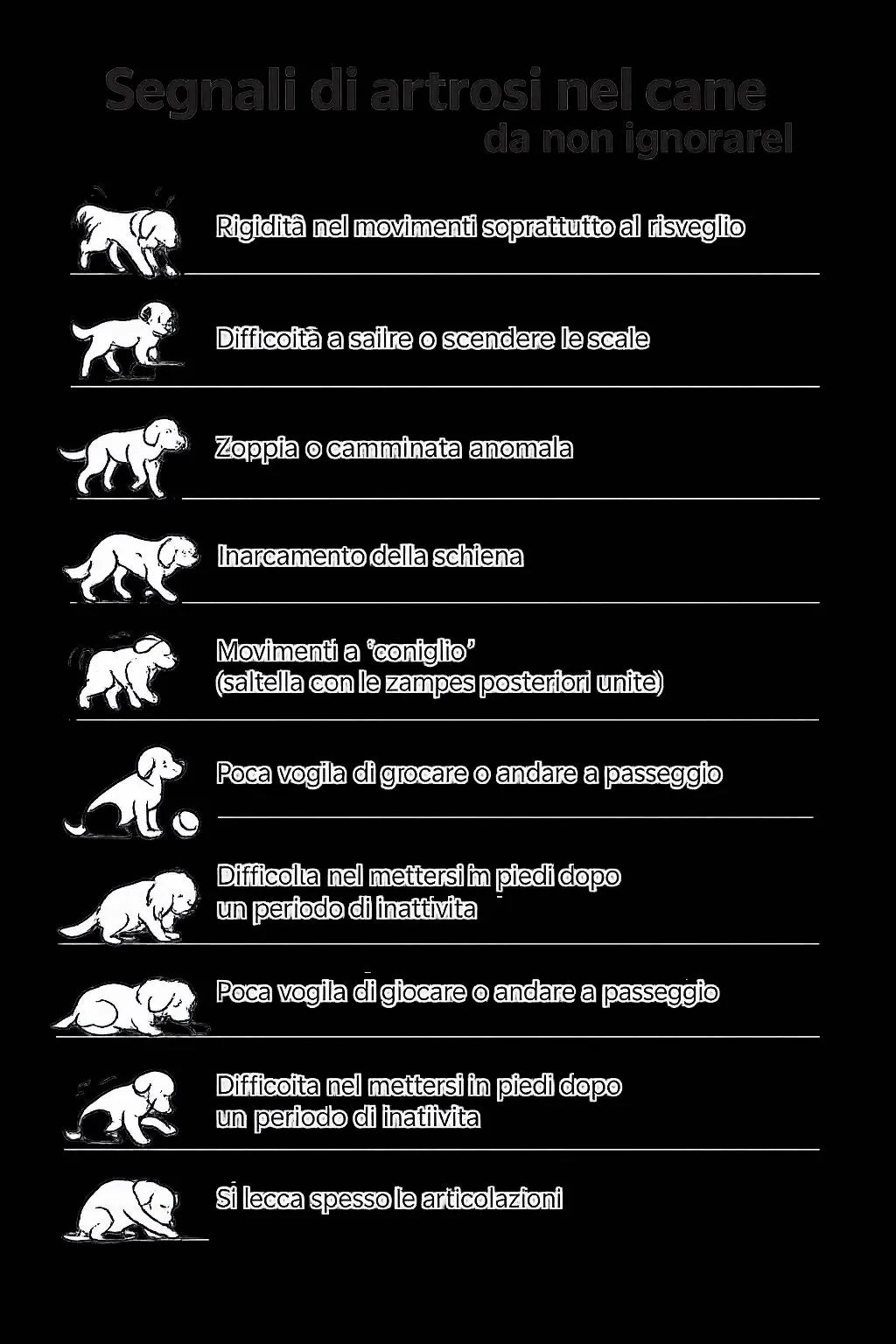ProtectionArtro+ 600mg — Condroprotettore per Cani di Piccola Taglia | DIXY'S DixyStore