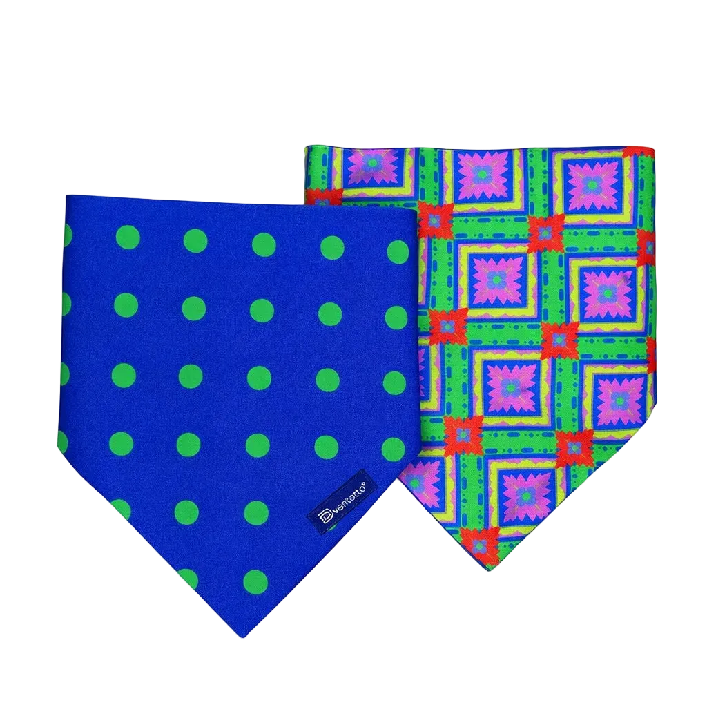 Bandana Reversibile per Cane in Cotone Floreale e Pois DixyStore