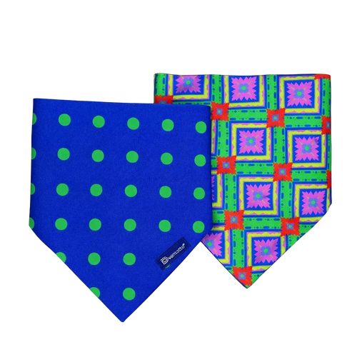 Bandana Reversibile per Cane in Cotone Floreale e Pois DixyStore