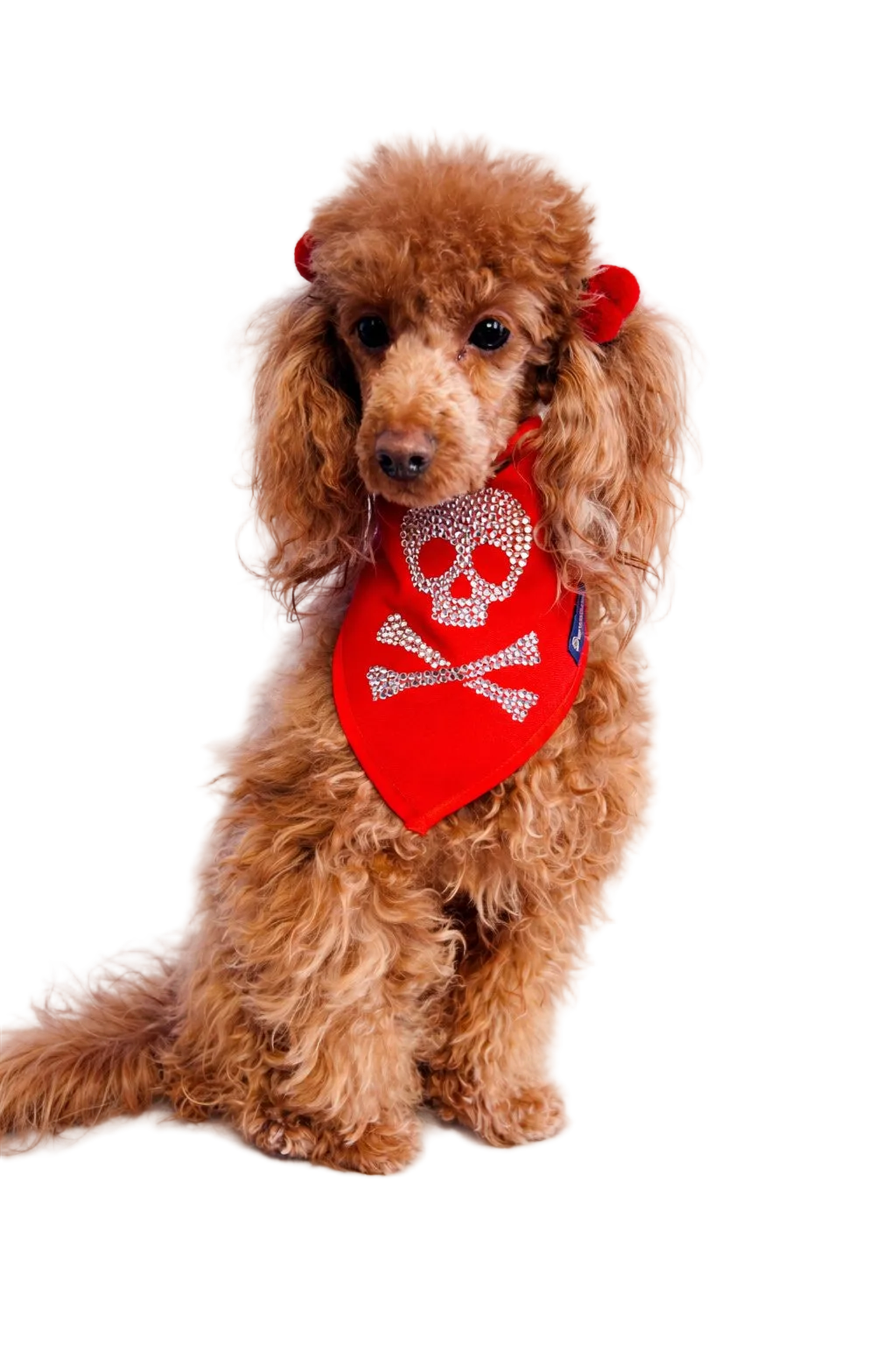 Bandana Art. JOLLY ROGER con Strass - Rosso | Dventotto® DixyStore