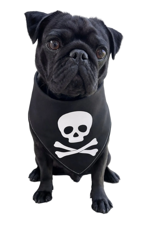 Bandana per Cane Jolly Roger con Bordo Satinato Made in Italy | Dventotto® DixyStore