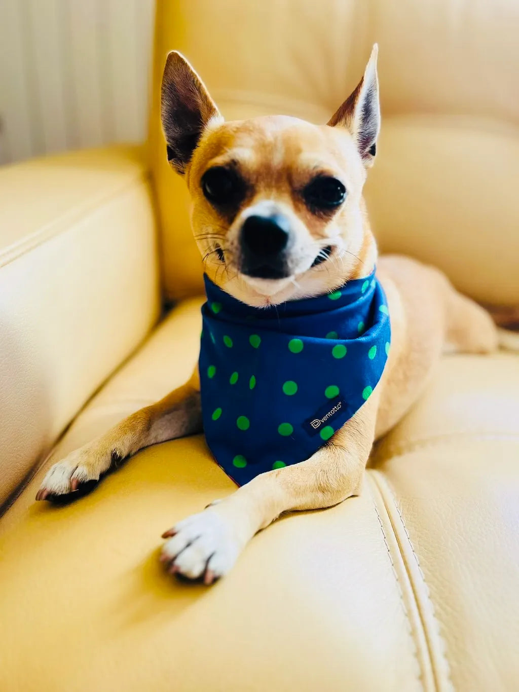 Bandana Reversibile per Cane in Cotone Floreale e Pois DixyStore