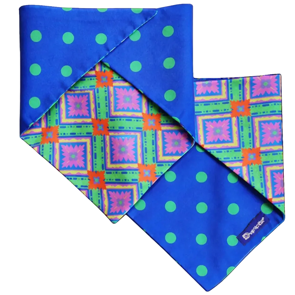 Bandana Reversibile per Cane in Cotone Floreale e Pois DixyStore