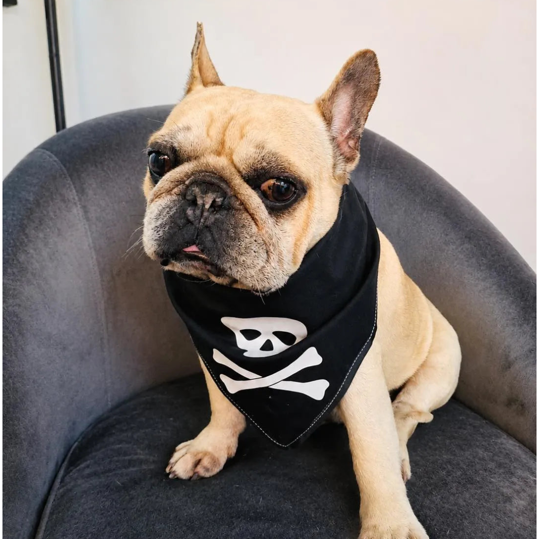 Bandana per Cane Jolly Roger con Bordo Satinato Made in Italy | DIXY'S DixyStore