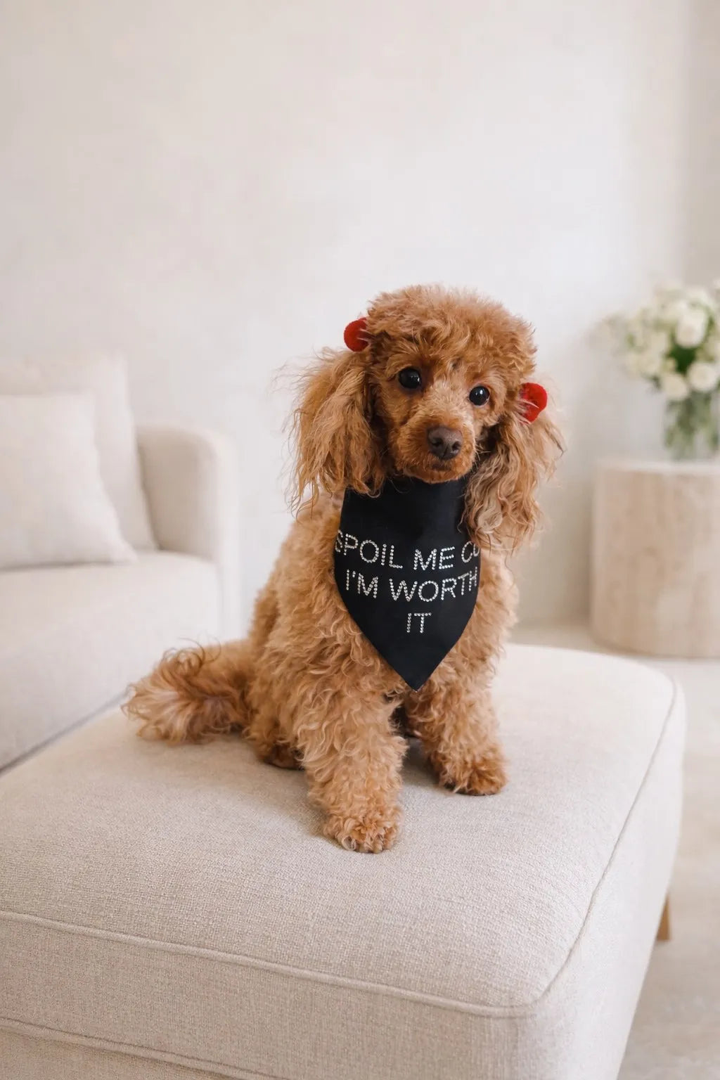 Bandane per Cane “Spoil Me Cos I’m Worth It” con Strass  | Dventotto® DixyStore