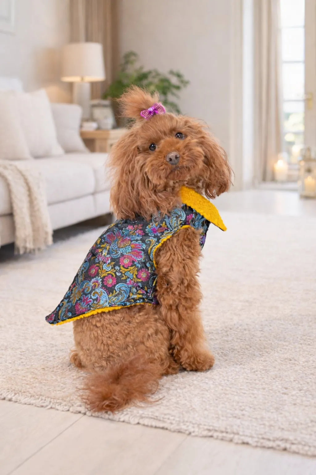 Cappotto per Cane Raffinato in Broccato Mod. Oriente | Dventotto® DixyStore