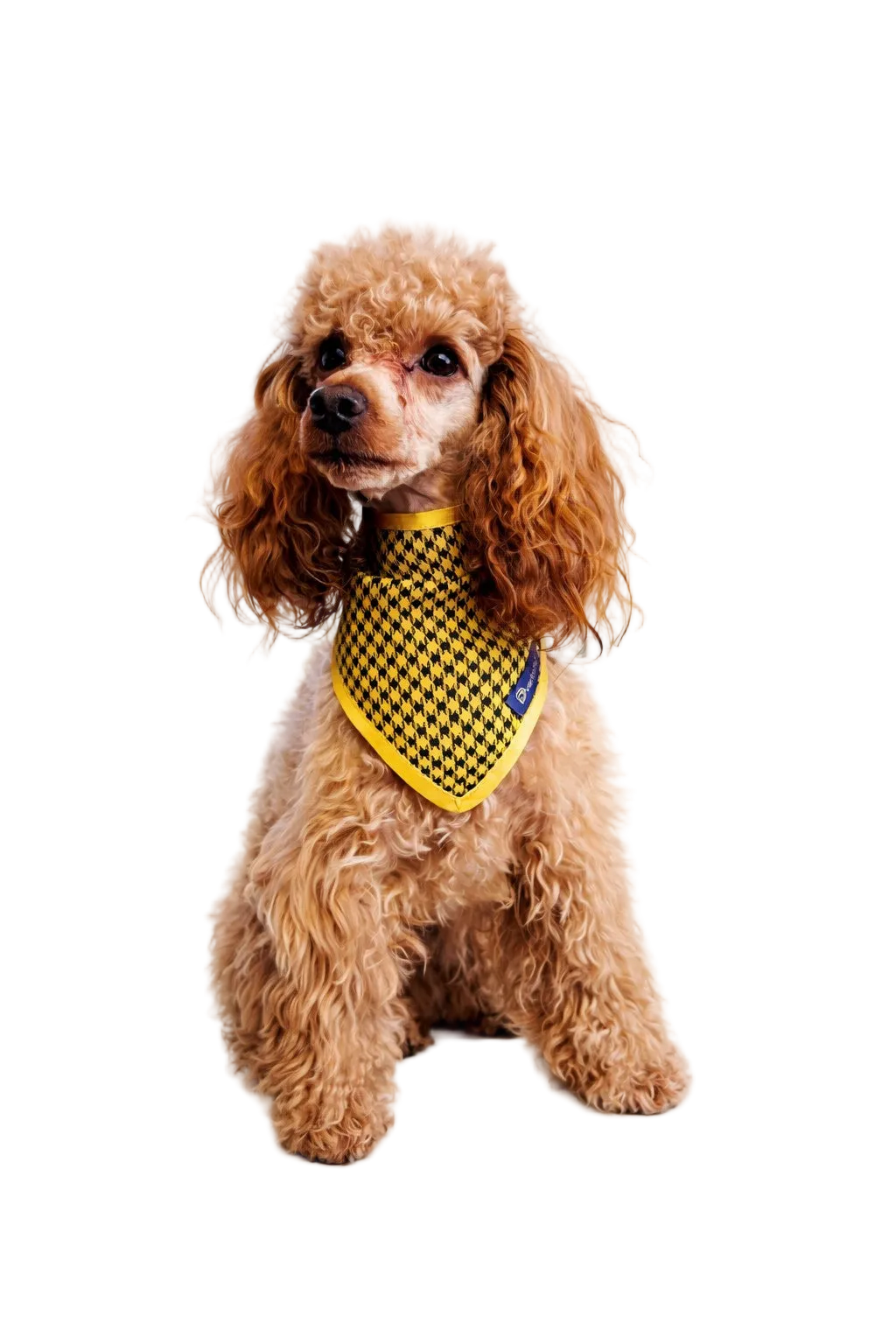 Bandana per Cani Pied-de-Poule Made in Italy | Dventotto® DixyStore