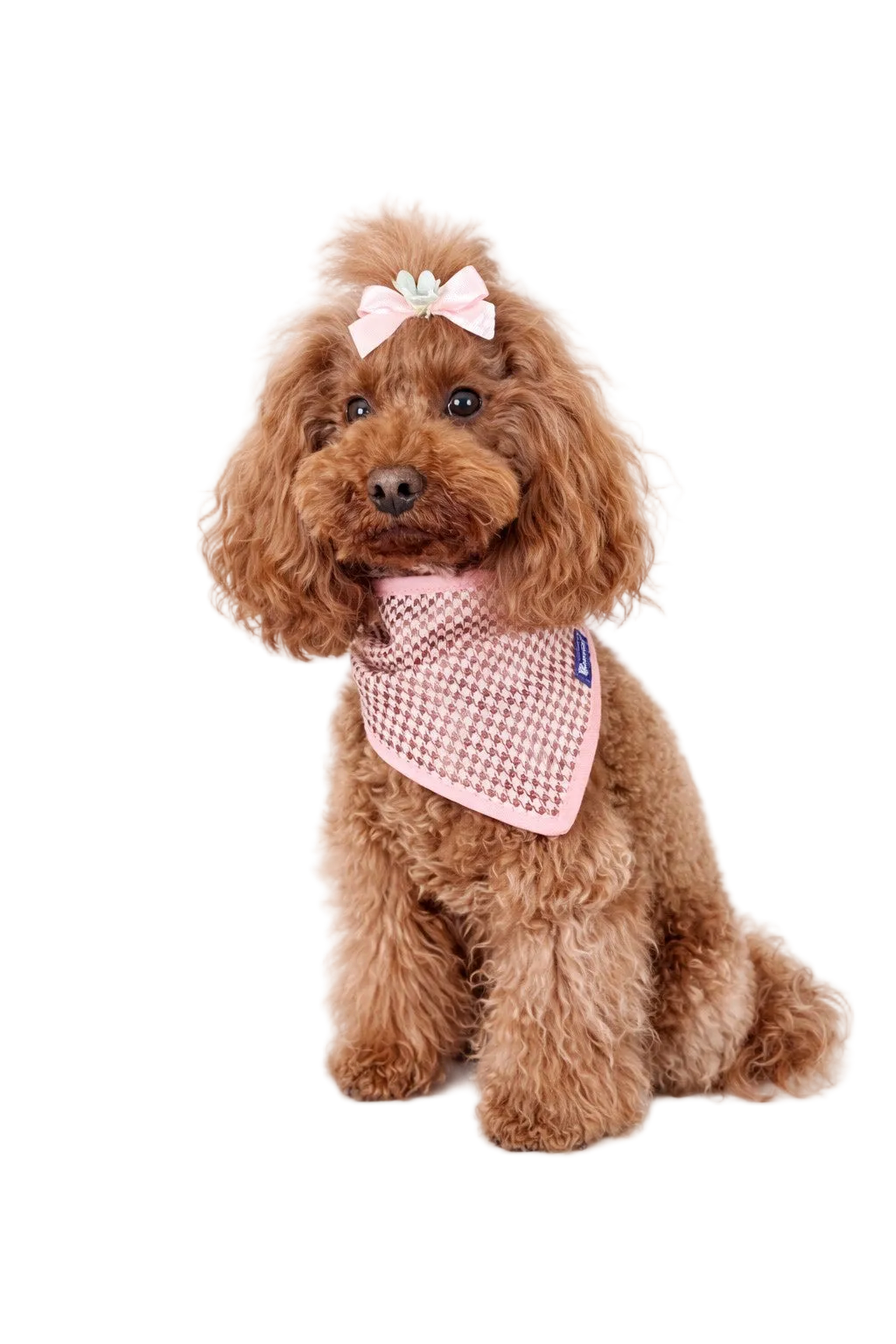 Bandana per Cani Pied-de-Poule Made in Italy | Dventotto® DixyStore