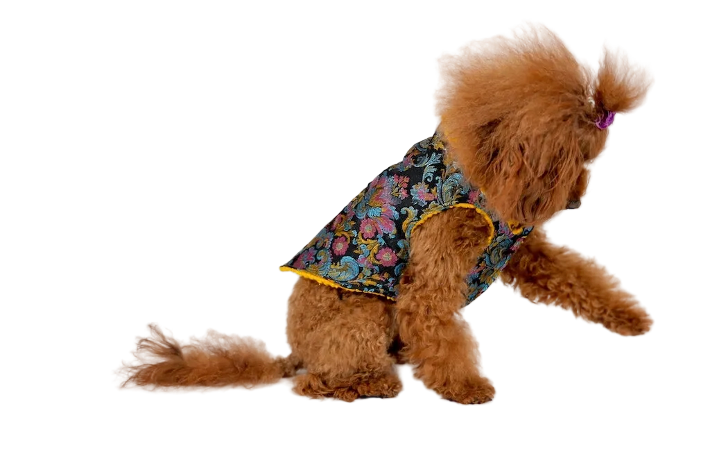 Cappotto per Cane Raffinato in Broccato Mod. Oriente | Dventotto® DixyStore