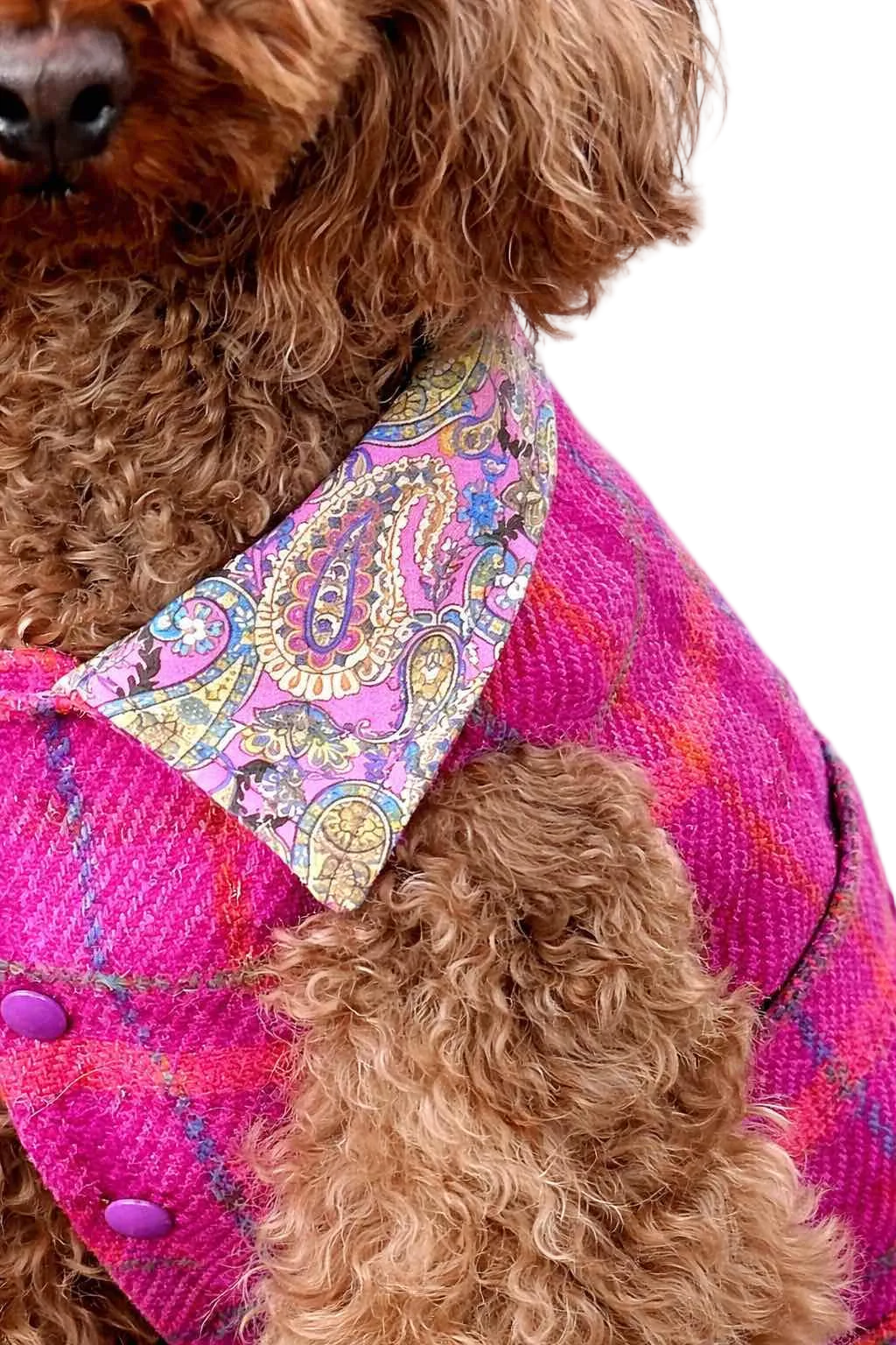 Cappotto per cane Hebrides (fucsia) in lana Harris Tweed® | Dventotto® DixyStore