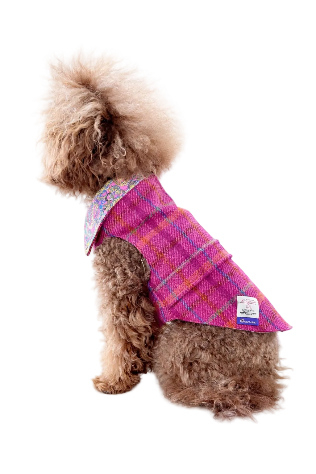 Cappotto per cane Hebrides (fucsia) in lana Harris Tweed® | Dventotto® DixyStore