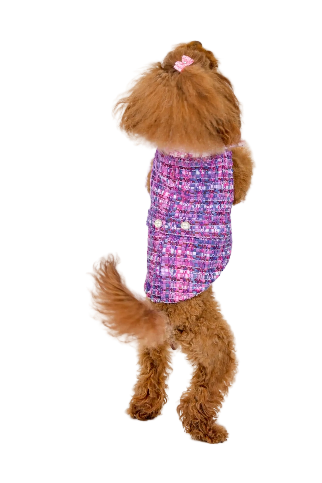Cappotto per Cane Paris in Tweed stile Chanel | Dventotto® DixyStore