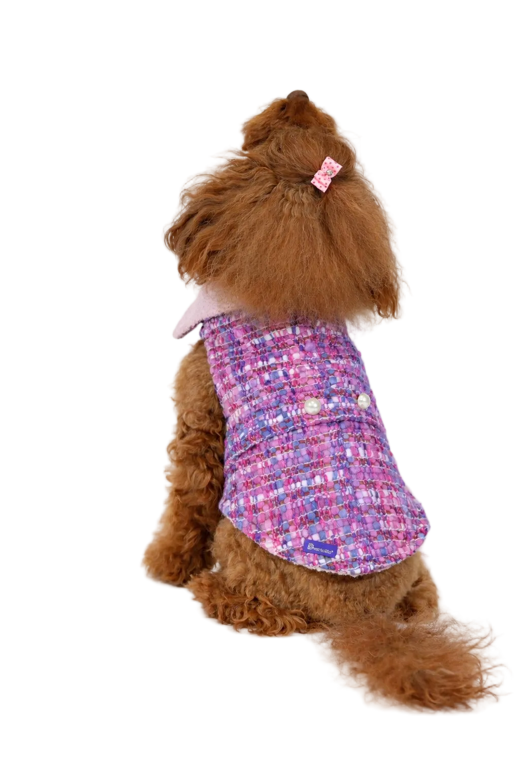 Cappotto per Cane Paris in Tweed stile Chanel | Dventotto® DixyStore