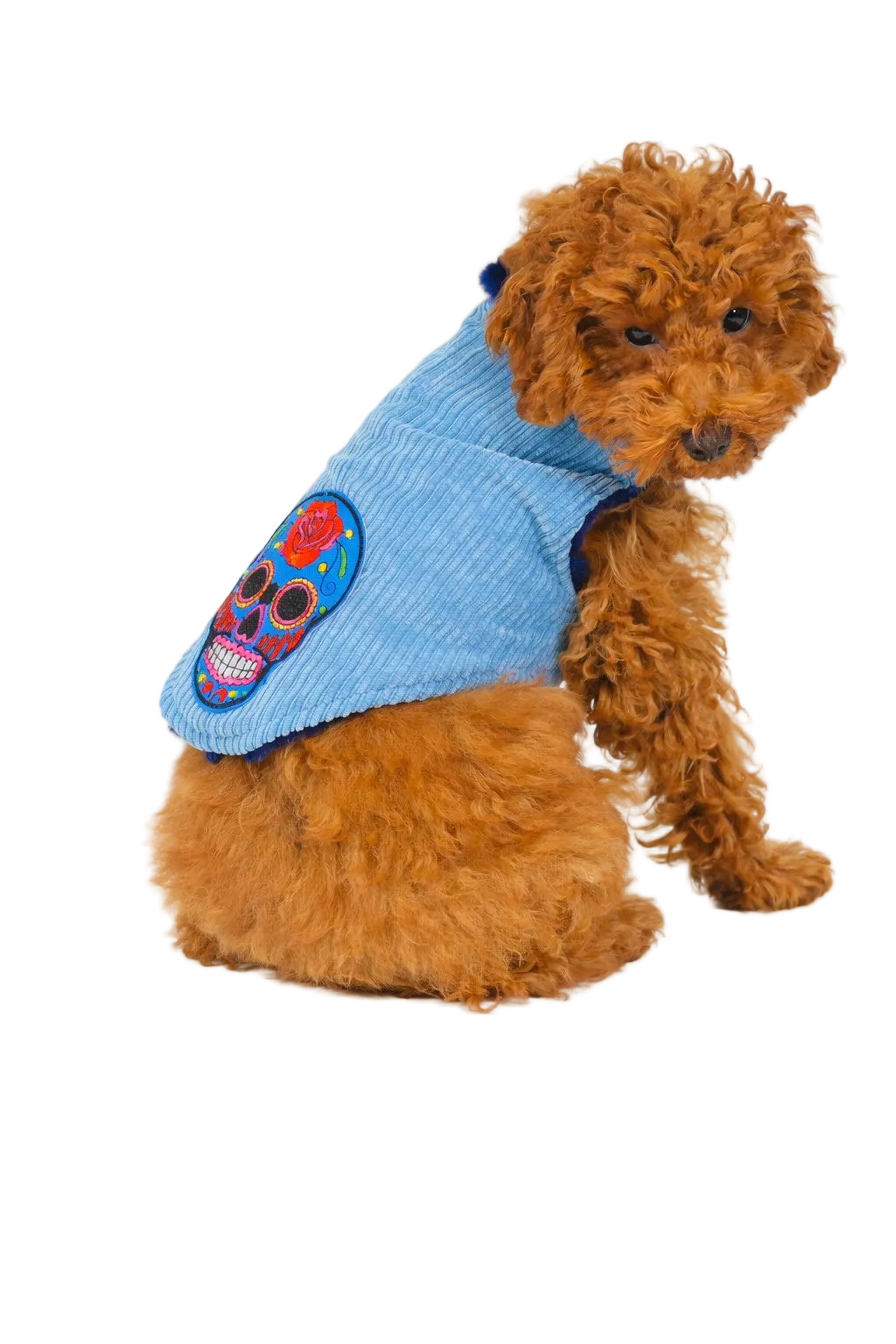 Cappotto per Cane in Velluto a Coste Mod. Nile Blue Made in Italy | Dventotto® DixyStore