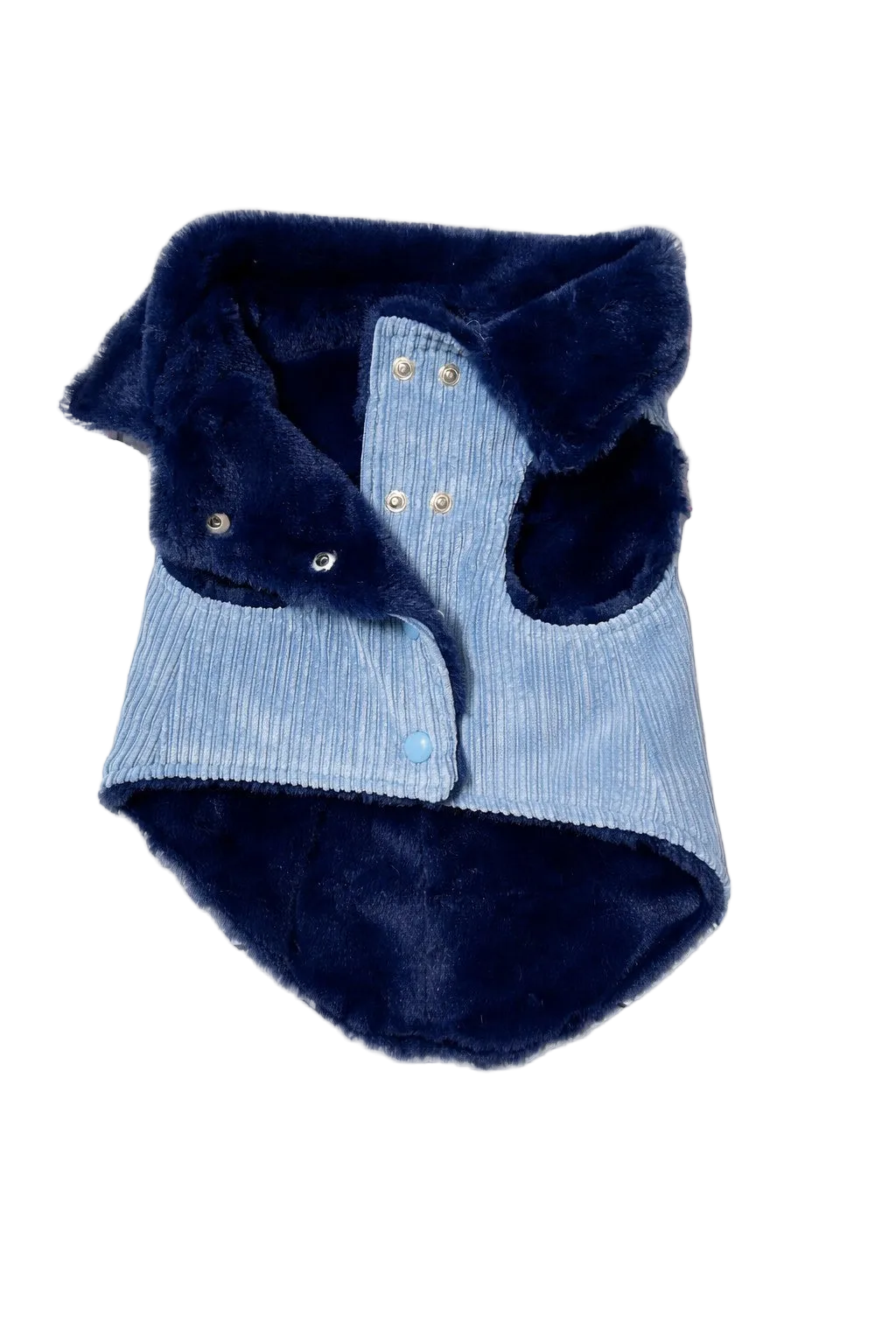 Cappotto per Cane in Velluto a Coste Mod. Nile Blue Made in Italy | Dventotto® DixyStore