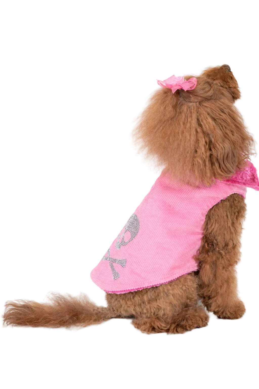 Cappotto per cane Nile Pink in velluto a coste Made in Italy | Dventotto® DixyStore