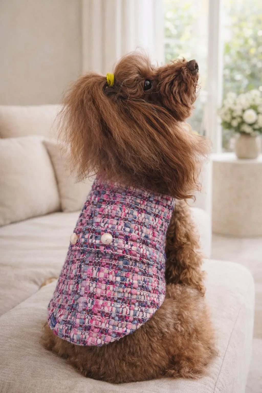 Cappotto per Cane Paris in Tweed stile Chanel | Dventotto® DixyStore