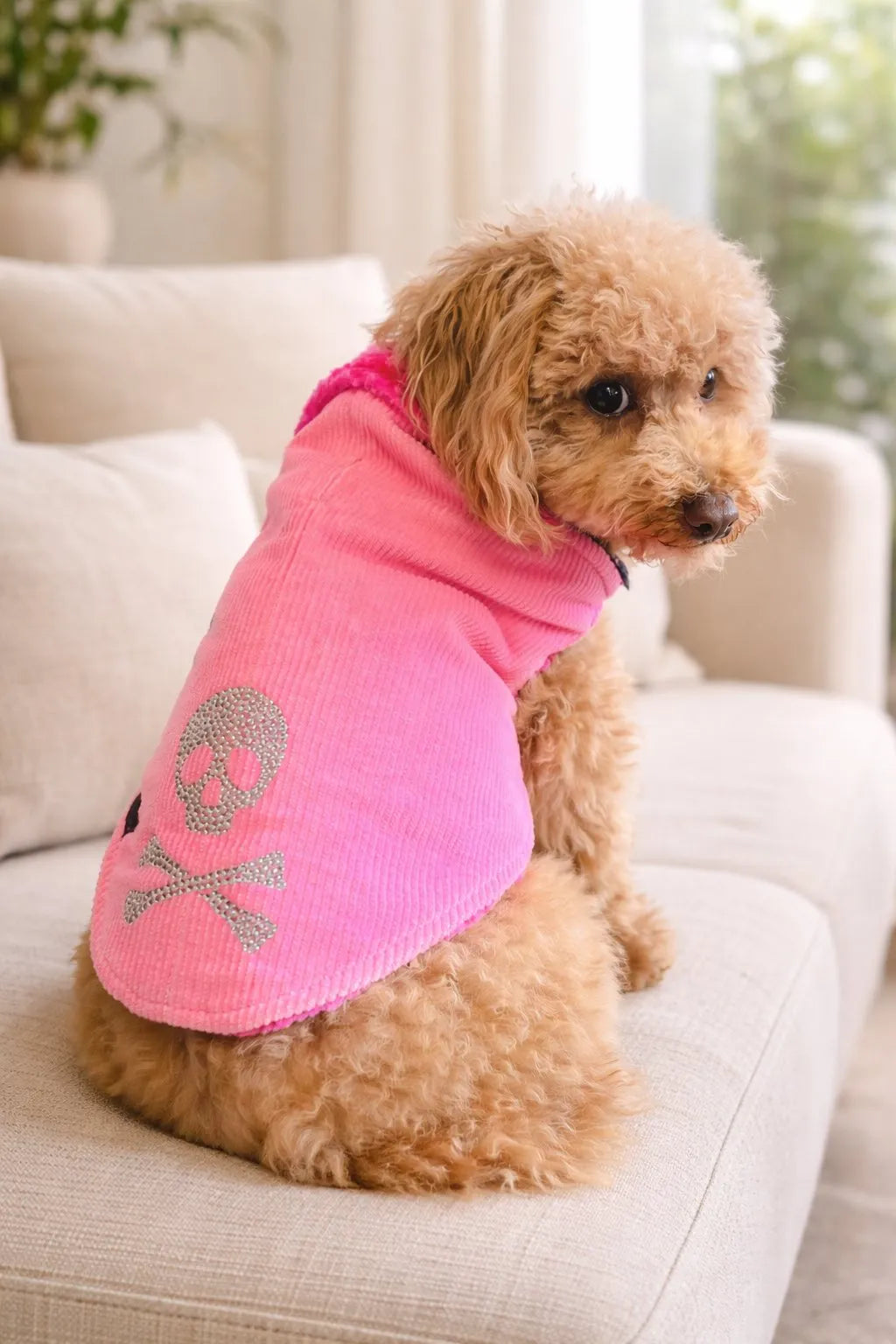 Cappotto per cane Nile Pink in velluto a coste Made in Italy | Dventotto® DixyStore