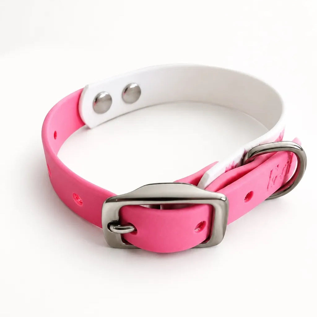 Set Collare e Guinzaglio Fiori Rosa per Cane in BioThane® Impermeabile e Regolabile | DIXY'S (Copia) DixyStore