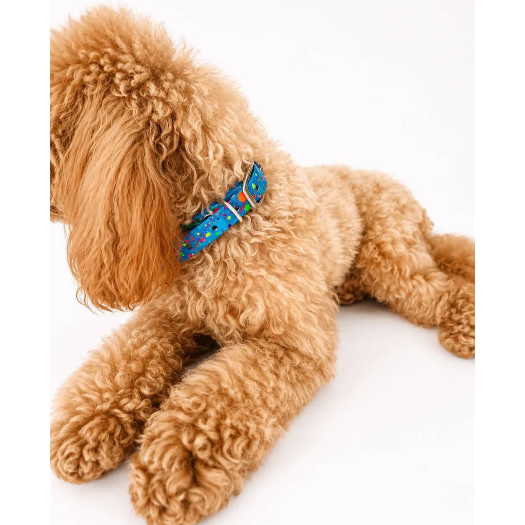 Set Collare e Guinzaglio Blue Splash per Cane in BioThane® Impermeabile e Regolabile DixyStore