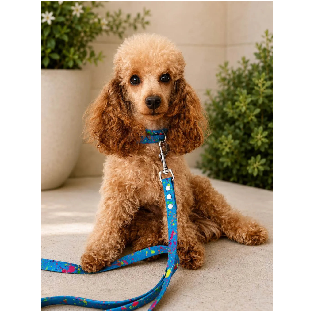 Set Collare e Guinzaglio Blue Splash per Cane in BioThane® Impermeabile e Regolabile DixyStore