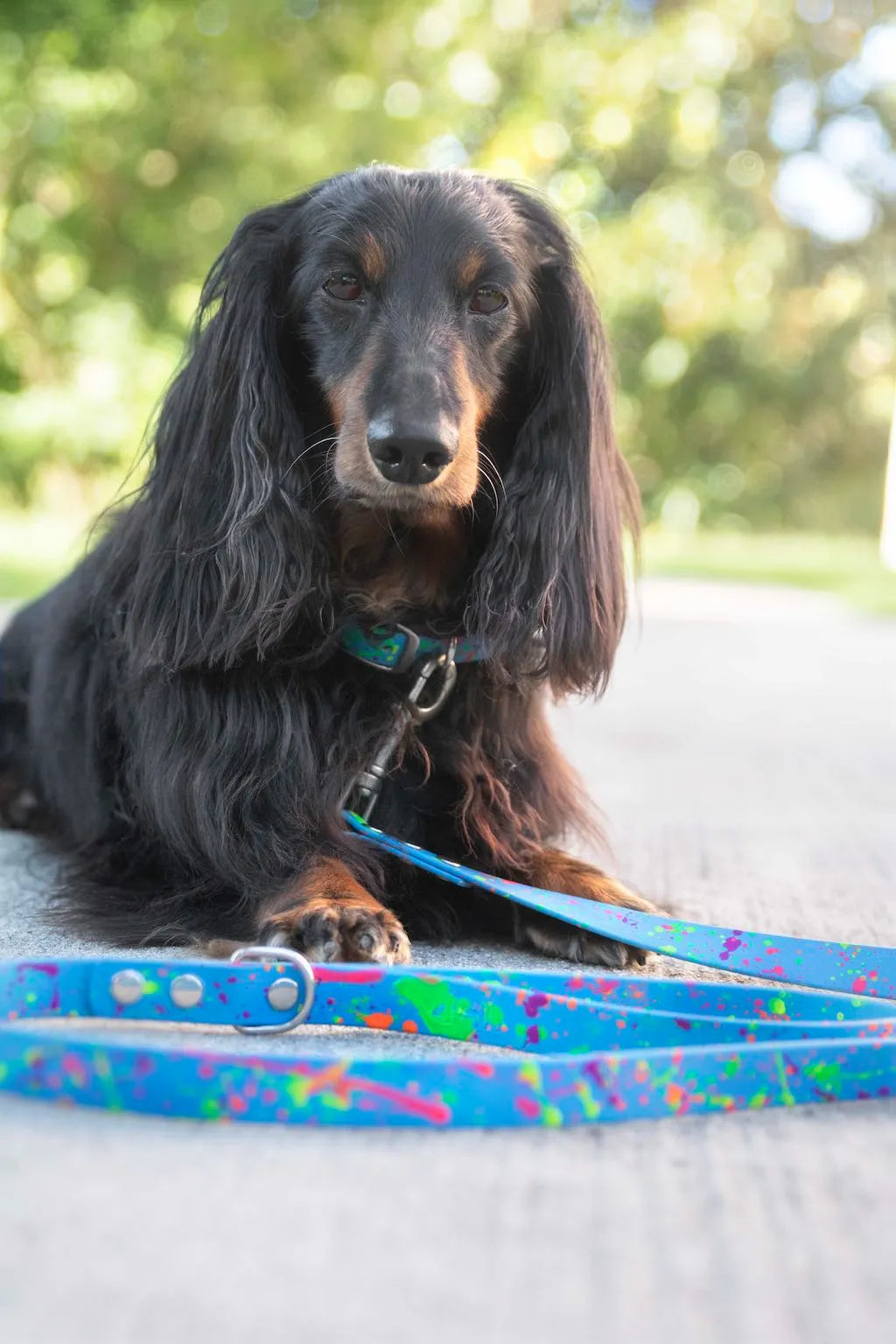 Set Collare e Guinzaglio Blue Splash per Cane in BioThane® Impermeabile e Regolabile | DIXY'S DixyStore