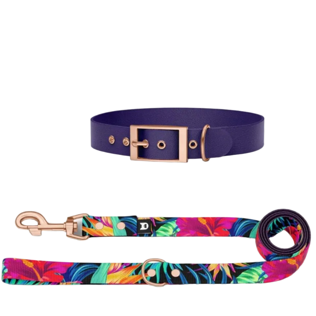 Set Collare e Guinzaglio Garden per Cane | DIXY'S DixyStore