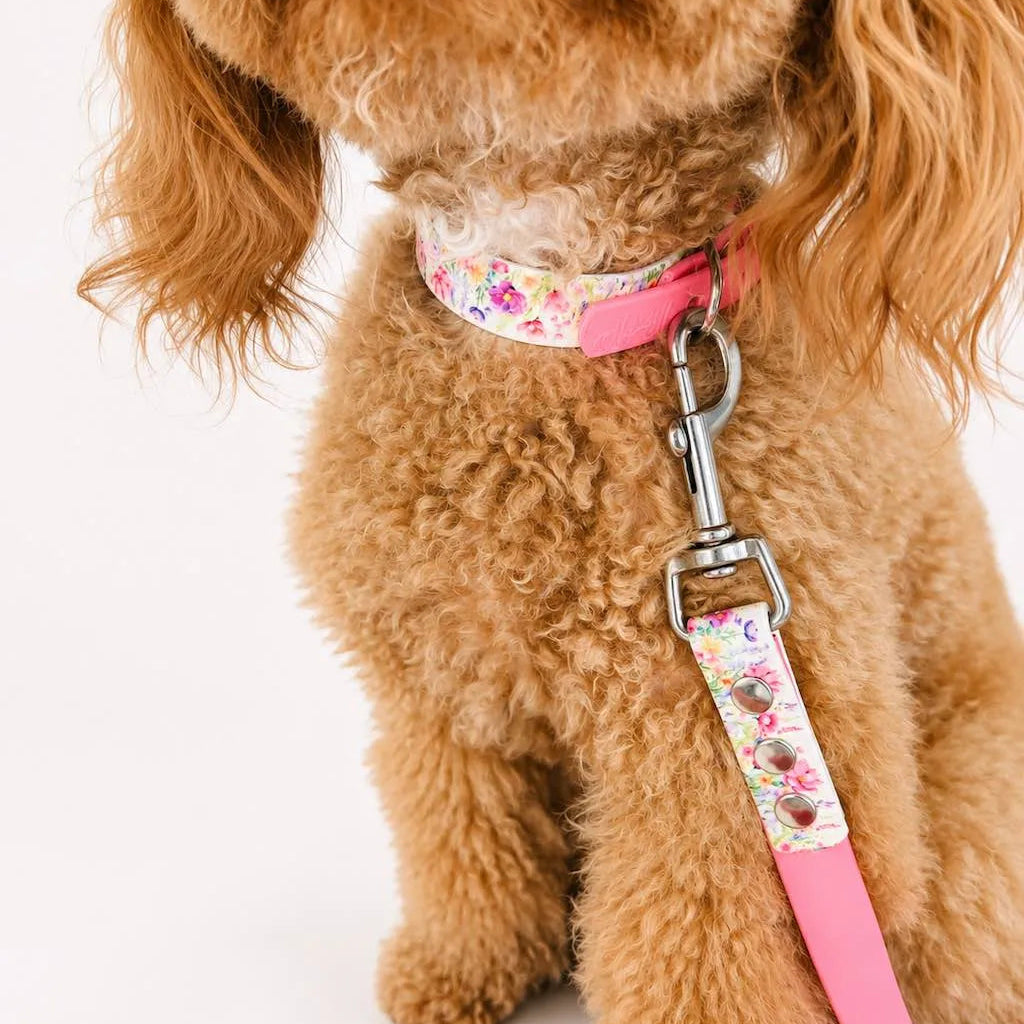 Set Collare e Guinzaglio Fiori Rosa per Cane in BioThane® Impermeabile e Regolabile | DIXY'S (Copia) DixyStore