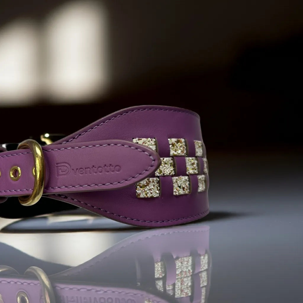 Set Collare e Guinzaglio Camilla in Pelle Italiana per Levrieri | Dventotto® DixyStore