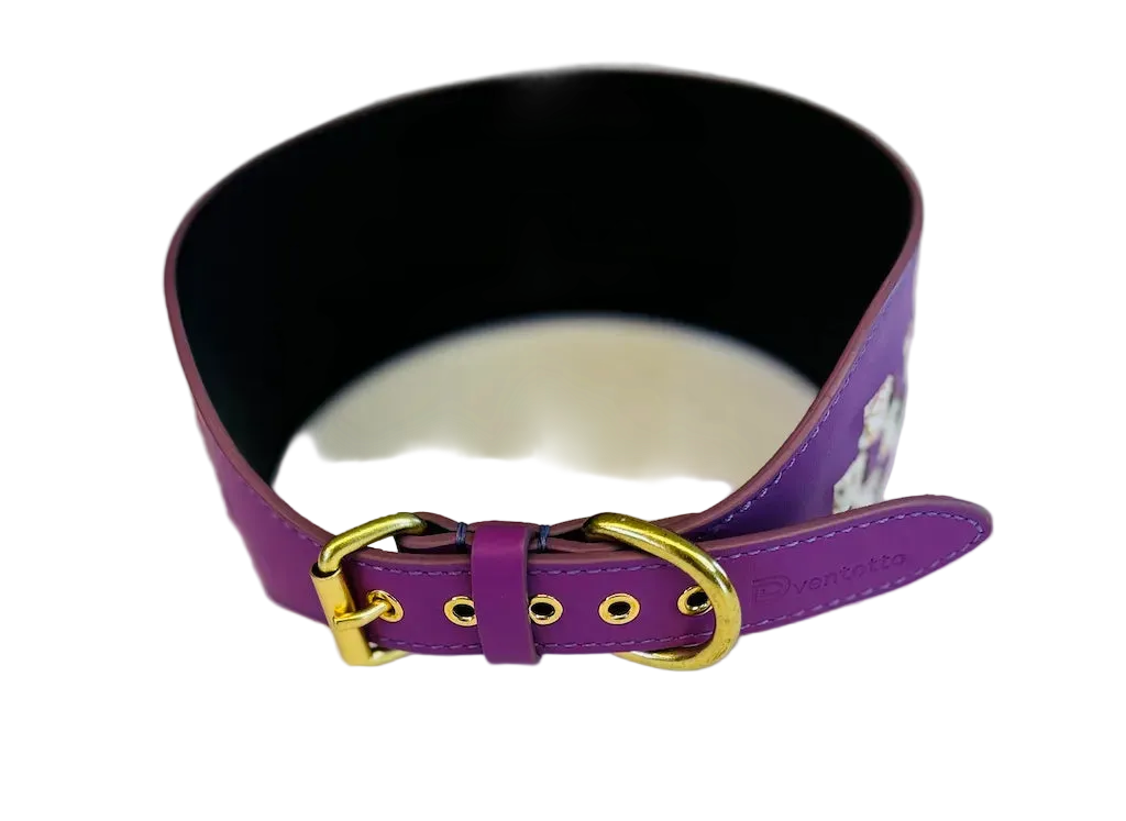 Set Collare e Guinzaglio Camilla in Pelle Italiana per Levrieri | Dventotto® DixyStore