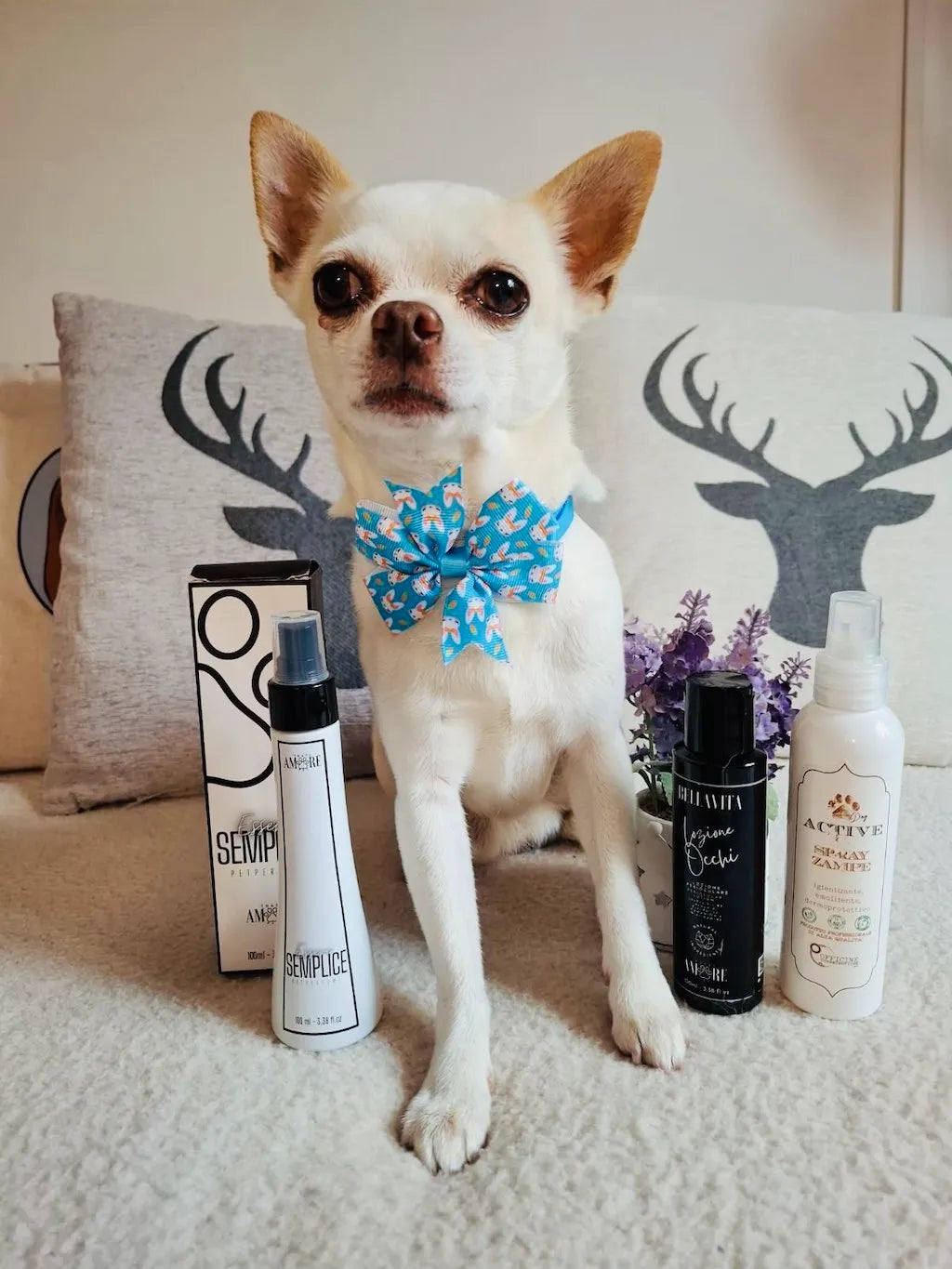 Profumo Semplice per Cane – Note Fiorite con Accenti Agrumati | Prodotto Italiano DixyStore