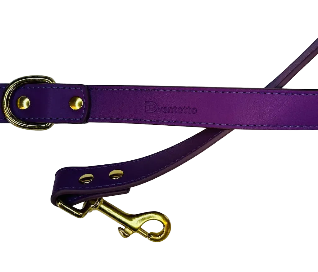 Set Collare e Guinzaglio Camilla in Pelle Italiana per Levrieri | Dventotto® DixyStore
