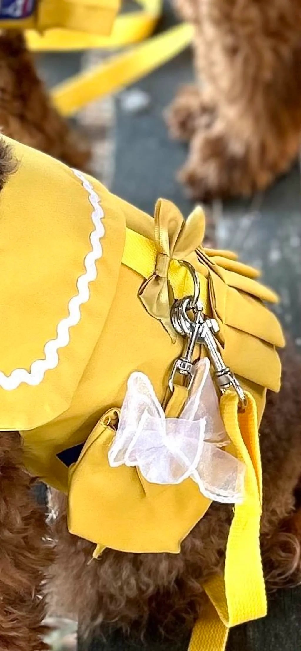 Vestito pettorina per cane stile marinaio | DIXY'S DixyStore
