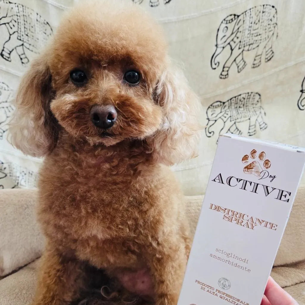 Spray Districante per Cani DixyStore
