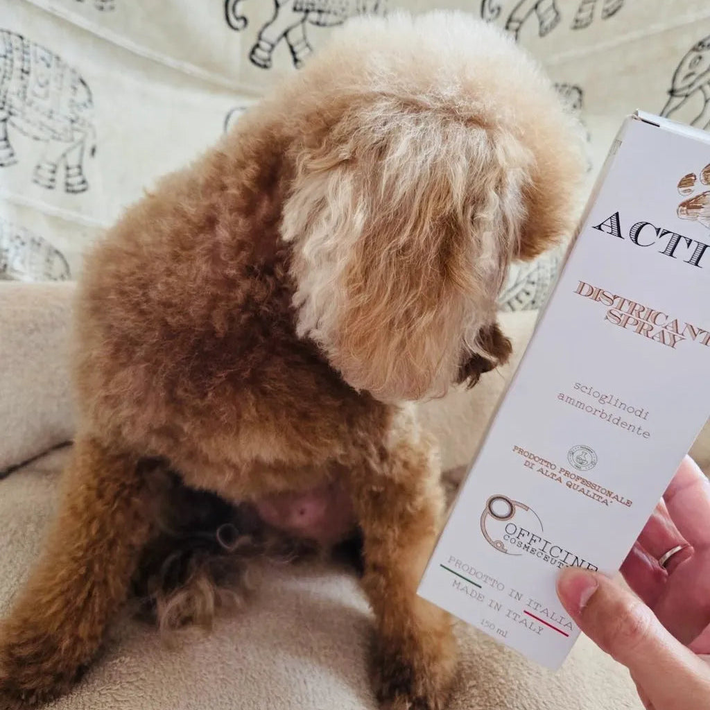 Spray Districante per Cani DixyStore