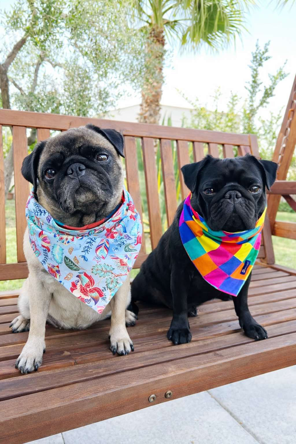 Bandana Reversibile per Cane in Cotone Floreale e Quadri | Dventotto® DixyStore