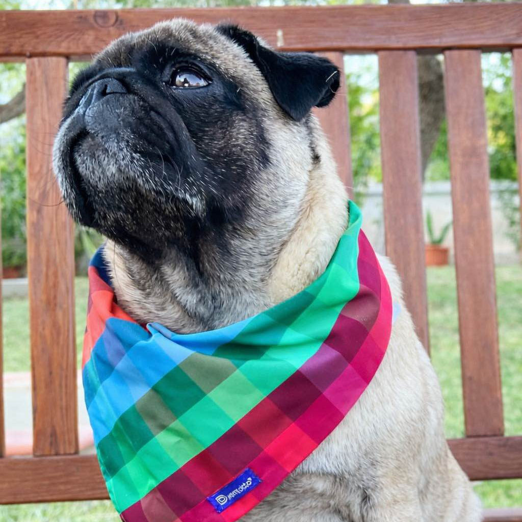 Bandana Reversibile per Cane in Cotone Floreale e Quadri | Dventotto® DixyStore